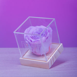 Standard Rose