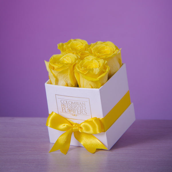Caja de Rosas
