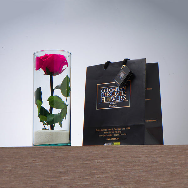 Premium Rose