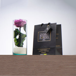 Premium Rose