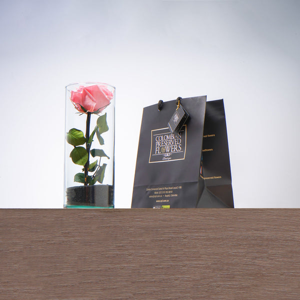 Premium Rose