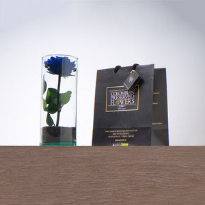 Premium Rose