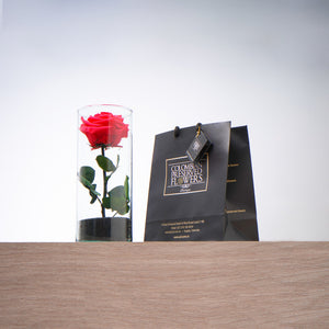 Premium Rose