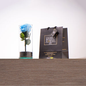 Premium Rose