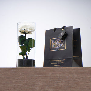 Premium Rose