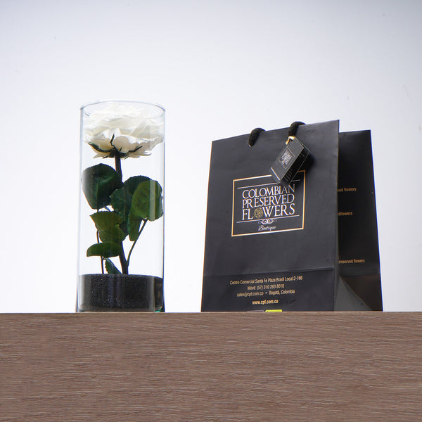 Premium Rose