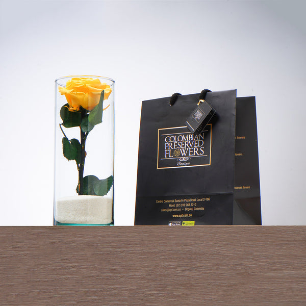 Premium Rose
