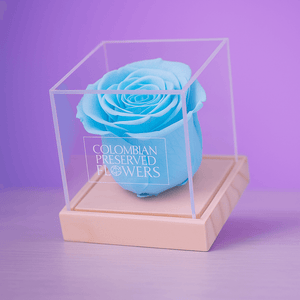 Standard Rose
