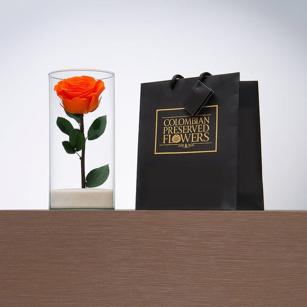 Premium Rose